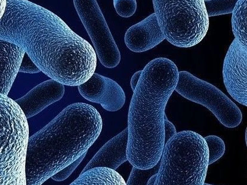 Gut Microbiome Analysis — mapping microbial patterns for immunity and cognition